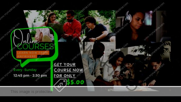 Online Course (Learn From Anywhere)